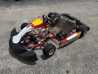 2024 Paroline Lemans Racing Kart With Vortex Rok Gp 125cc  Engine