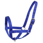 X Large Royal Blue Nylon Cattle Halter Adjustable For All Breeds Durable Design
