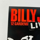 Billy Joel - 12 Gardens - Promo Poster 12x12
