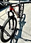 Specialized Stumpjumper Carbon World Cup Hardtail 29     Medium
