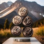 Lot Of 5 Canada 1 Cent Coin Uncertified And Uncirculated