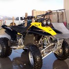 Sexy Girl Shock Covers Yamaha Banshee Yfz 350 Warrior Yfm 350 Yfz 450  set 3 