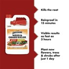Spectracide Weed And Grass Killer 128 Oz Sprayer Ready-to-use 1 Gallon