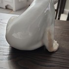 B g Copenhagen Porcelain Polar Bear Figurine 1629 Decorative Collectible Animal