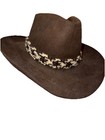 Vintage Stetson 3x Beaver Brown Western Hat W  Patterned Hatband   Feather