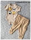 14-piece New Baby Boy Gift Set  Newborn Essentials Gift Large Lion Box Basket 