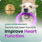 Dog Heart Supplements Extra Strength Chews For Circulation And Cardio Support 60