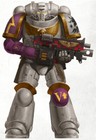 Warhammer 40k Imperial Fists Sons Of The Phoenix Custom Transfer Sheet A5