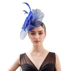 Womens Fascinator Feather Headwear Flower Hair Clip Church Wedding Tea Party Hat