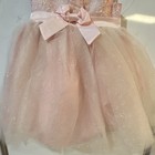 Blueberi Boulevard Girls Pink Sparkle Tulle Dress Satin Sash Bow Size 24m