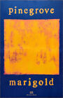 Pinegrove Marigold Ltd Ed New Rare Tour Poster  bonus Folk Indie Country Poster 