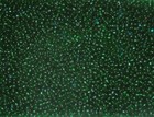Antique Vintage Czech Glass Seed Beads Clear Forest Green 11 0 Wb33