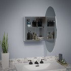 Oval Bathroom Medicine Cabinet Wall Mount With Mirror Hanging Double Shelf