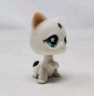 Littlest Pet Shop Cat  547 Short Hair Black   White 