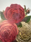 Lot Of 2 Antique Victorian Large Die Cuts Scrap Roses Flowers   7  To 8 h
