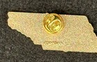 Dead And Company Pin Bonnaroo Festival Manchester  Tn 6 12 16 2016  State Shape