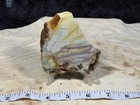 Willow Creek Jasper Slab  Lot  302
