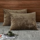 Truly Velvet Pillowcases Standard Size  No Insert  26  X 20   pack Of 2  Khaki