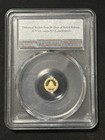2017 China Panda Gold 10 Yuan Pcgs Ms 69 First Strike     