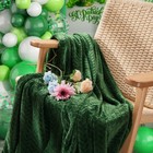 Green Fleece Twin Bed Super Soft Cozy Warm Lightweight Throw Blanket 60x90 In