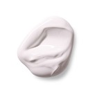 Gesso Primer White   Global Colours Professional Mediums   Acrylic Artist Paints