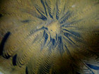 Bowl Handmade Wood  Resin   9 5   Brown Decorative Incised Design Black Unique