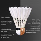 12-pack Feather Badminton Shuttlecocks With Great Stability And A1  White 