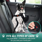 2 Pack Adjustable Dog Seat Belt W  Bungee   Bowl Pet Car Safety Harness