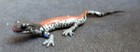 Yonalossee Salamander Safari Ltd  Tennessee Aquarium Retired Figure 1995