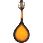Rogue Rm-100a A-style Mandolin Sunburst