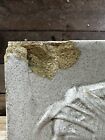 Rare Antique Pottery Tile Native American Indian Head Brick