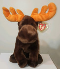 Ty Large Plush Beanie Buddy        Chocolate The Moose 10  New Stuffed Animal Toy