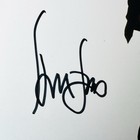 Harrison Ford Signed Photograph Autograph Picture Hans Solo Star Wars Beckett