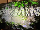 Cib Nintendo Gamecube Game - Player s Choice Pikmin
