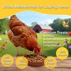 5lbs Non-gmo Dried Mealworms For Chickens  High Protein Meal Worms  Premium Chic
