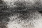 New Cowhide Rugs Area Cow Skin Leather 25 81 Sq feet  63 x59   Cow Hide U-1364