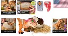 Jurassic Interactive Dino  Hatchable T-rex With Clicker   Feeding Accessory