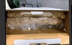 Amazon Electric Heating Blanket Beige Adjustable Temperature Washable Adult