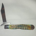 Case Xx Sea Dragon Cheetah Cub No  25259 Bone Handle