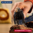 Schleich Wild Life - 3  Chimpanzee Animal Figurine - Realistic Monkey Figure For
