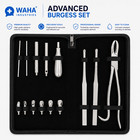 Equine Dental Burgess Wolf Tooth Extractor Kit 14 Pieces Veterinary Instruments