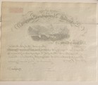 The Schuylkill Navigation Co  Antique Unissued Stock Certificate - Canal Company