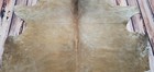 Extra Large Dark Beige Cowhide Rug Brazilian Hair On Hide 7ft X 6 4ft