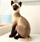 Siamese Cat Plush Toy 8  Stuffed Animal Toddler Doll Gift For Kids