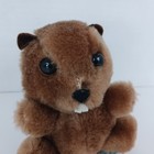 Vintage 1978 Dakin Beaver Plush Stuffed Animal Ground Nutshell 4   