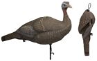 Lucky Duck Lucky Hd Collapsible Jake hen Decoy