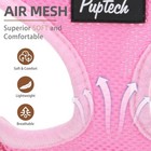 Soft Mesh Dog Harness And Leash Set Pet Puppy Cat Comfort Padded Vest No Pull   