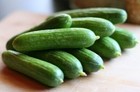 Cucumber Ashly Heirloom 50  Seeds 100  Organic Non Gmo Grown In Usa