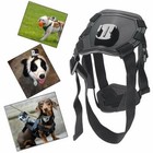 Dog Strap Harness Belt Mount Strap Camera Holder For Gopro Hero Action Cam