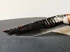 Huge Wicked Lace Obsidian Knife kenny Hull top 10 Worldwide Collected 1996